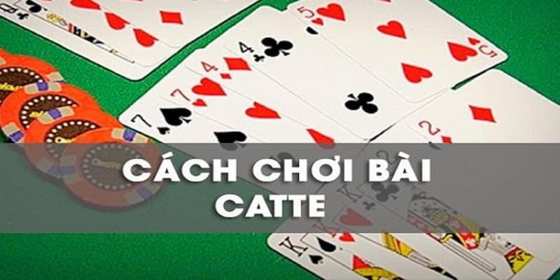 Catte Bất Bại - Cách Chơi Catte Luôn Thắng Cho Người Mới Đến Cao Thủ 3 Cách Nhớ Bài Catte Hay Và Hiệu Quả Từ Các Chuyên Gia